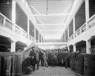 Ein Tabakmarkt, Louisville, Kentucky, 1906